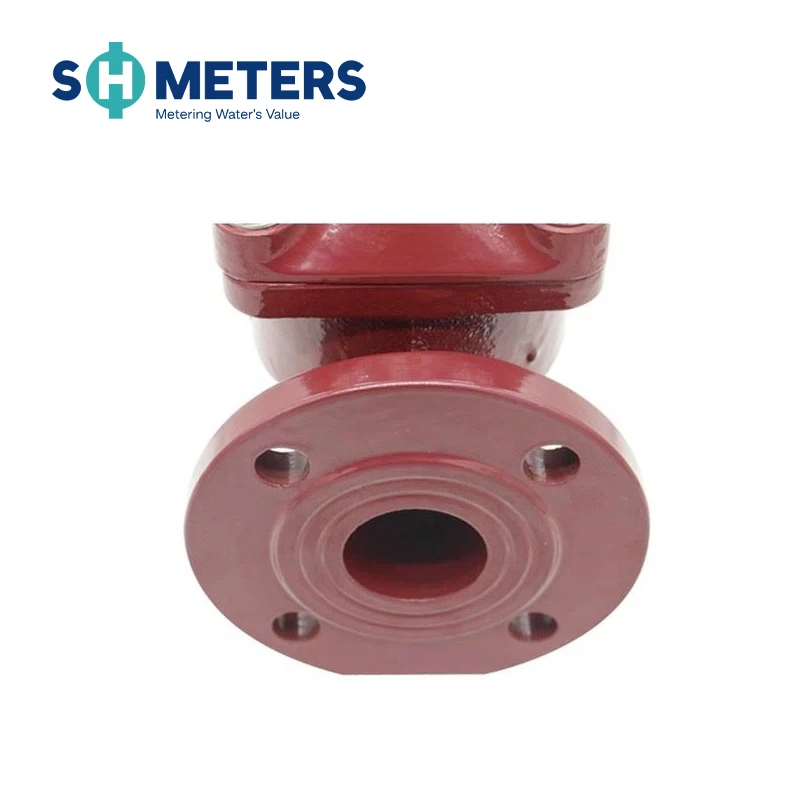 hot woltman water meter (5)