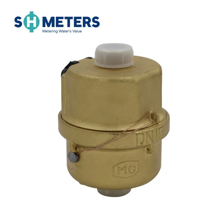 Volumetric Piston Type Plastic Gallon Water Meter