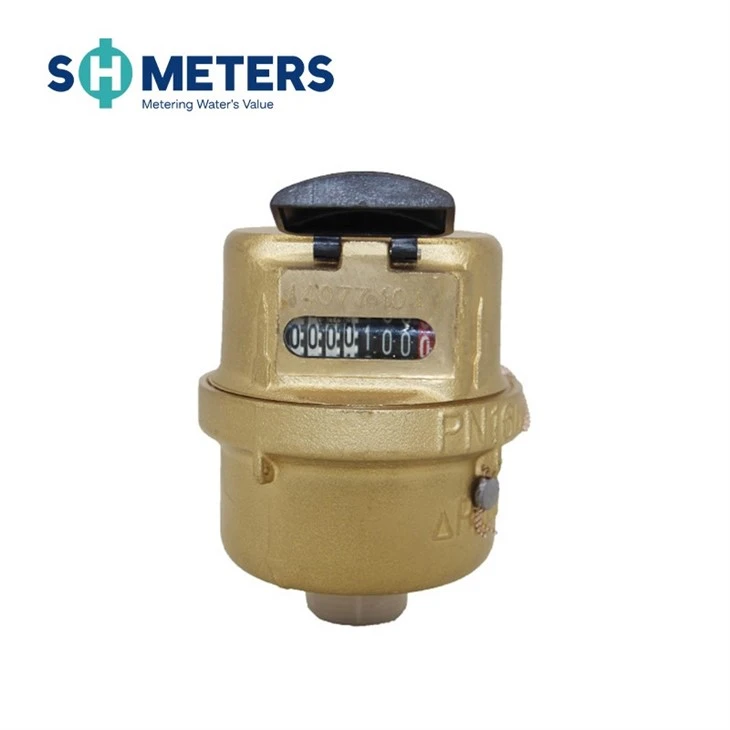 Volumetric Water Meter R160,200,250 Brass Body For Residential Volumetric Water Meter R160,200,250 Brass Body For Residential