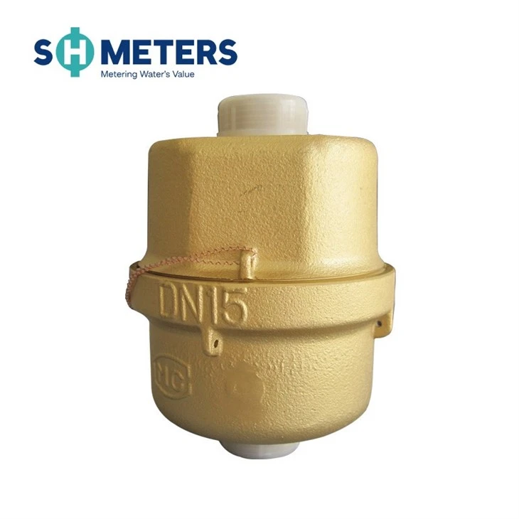 Volumetric Water Meter R160,200,250 Brass Body For Residential Volumetric Water Meter R160,200,250 Brass Body For Residential